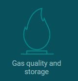 EDS ikon - entry to the data of Gas Storage Denmark